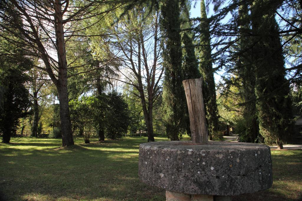 Il Vecchio Mulino Villa Маса Мартана Екстериор снимка